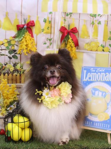 20240426太郎くん